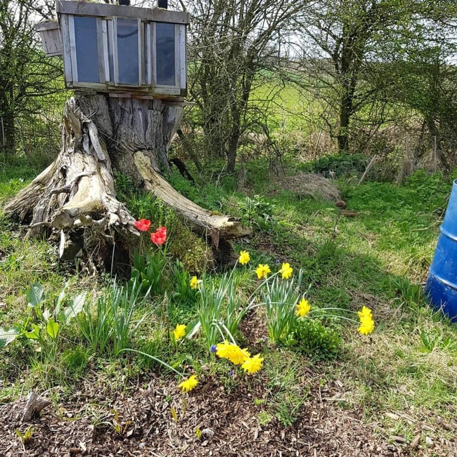 Romantic Escape Luxury Hobbit House With Hot Tub! Sheerness Luaran gambar